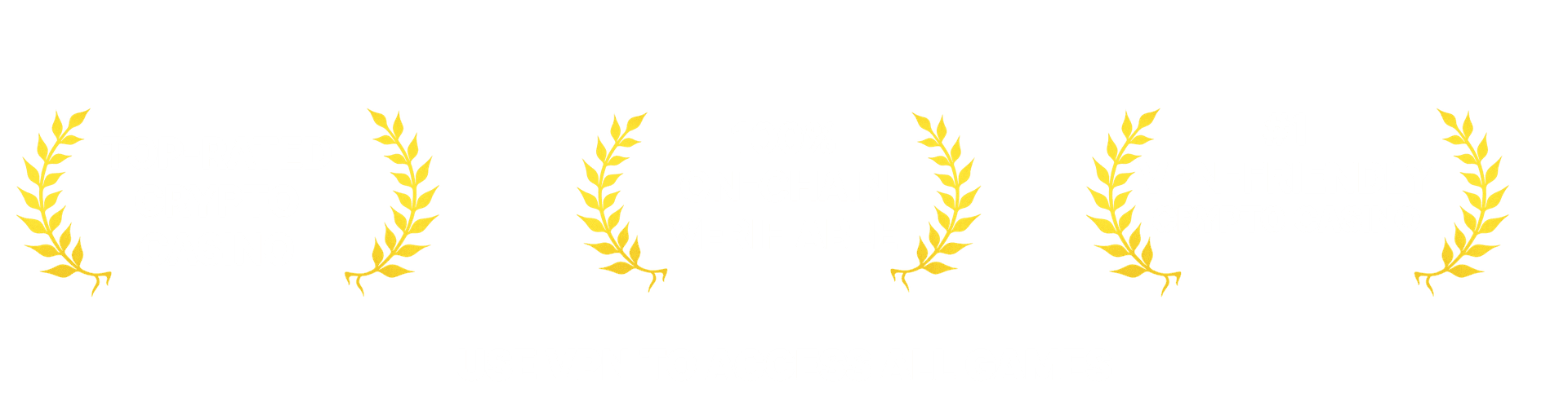 Hero Asset